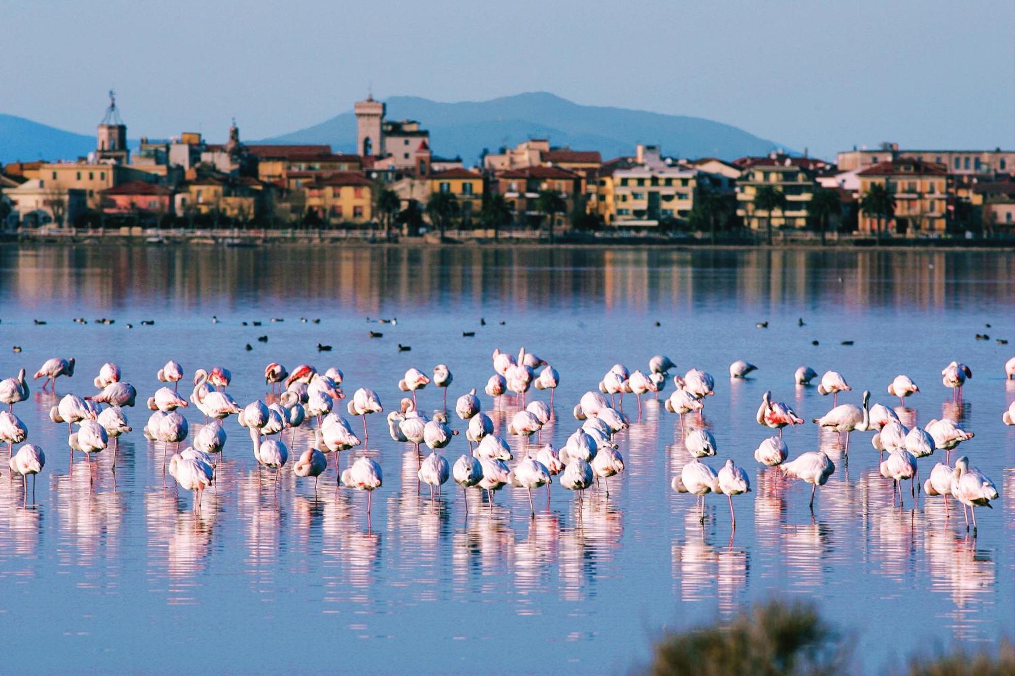 Park Hotel Residence Orbetello Buitenkant foto